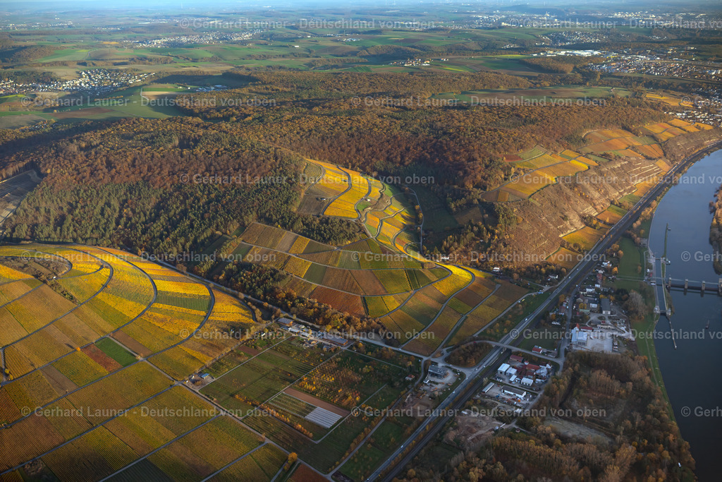 4042920 | Weinberg bei Thüngersheim, Weinlage Scharlachberg, Sonnenschein