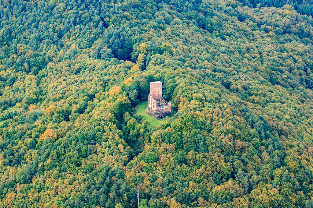 Luftbild: Burgruine Ramburg in Ramberg im Bundesland Rheinland-Pfalz in Deutschland. Foto: IMG_60030.jpg vom 08.10.2013 durch Werner Riehm/FLY-FOTO.deRamburg - Ramberg