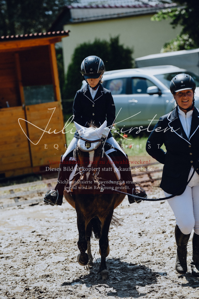 DSC_2275 | Pferde- und Turnierfotografie in Westsachsen. Pferdeportraits, Auftragszeichnungen und intuitive Kunst.