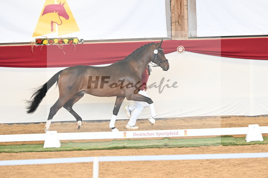 Kat.-Nr. 77 v. Taurus_Casper und Eulich_3261038 | hf-fotografie - Realisiert mit Pictrs.com