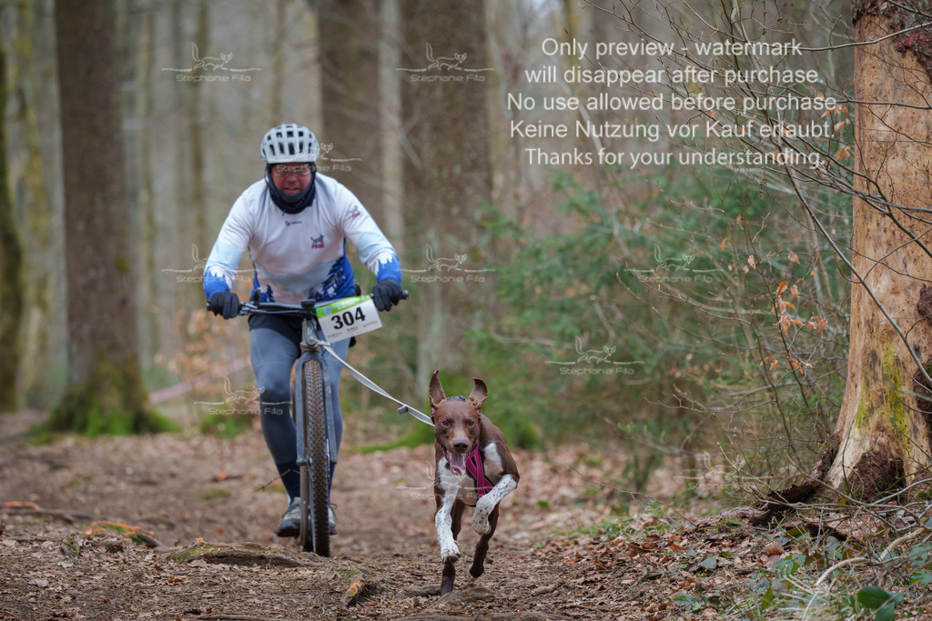 Scooter_So-41 | stephaniefillaphotographie - Realisiert mit Pictrs.com