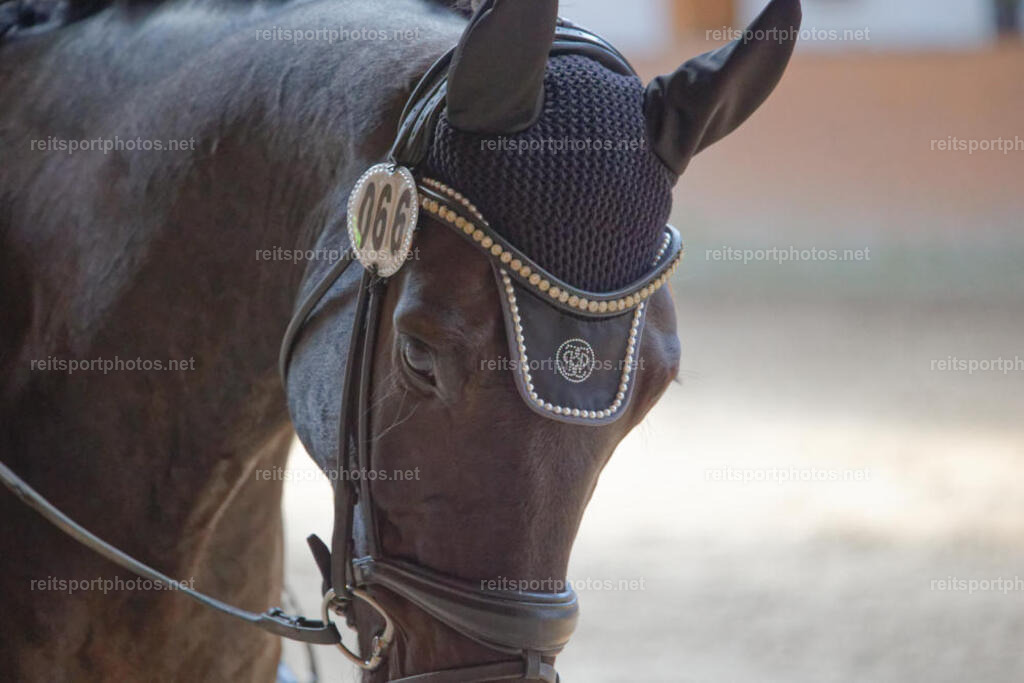 JHE_2493 | JoYa Fotografie - Realisiert mit Pictrs.com