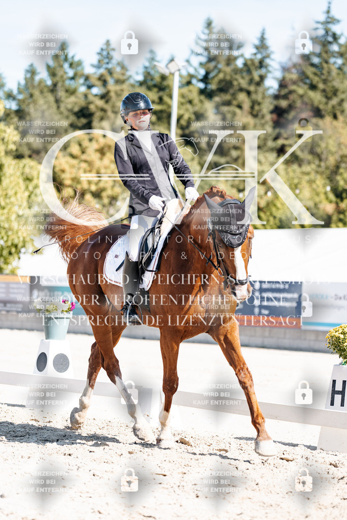 CK908862 | Turnierfotografie Pferdefotografie Trier Rheinland-Pfalz Pferdesport Reitsport Tierfotografie Sportfotografie Pferdevideo Pferdevideografie Equestrianvideography equestrianphotography  - Realisiert mit Pictrs.com