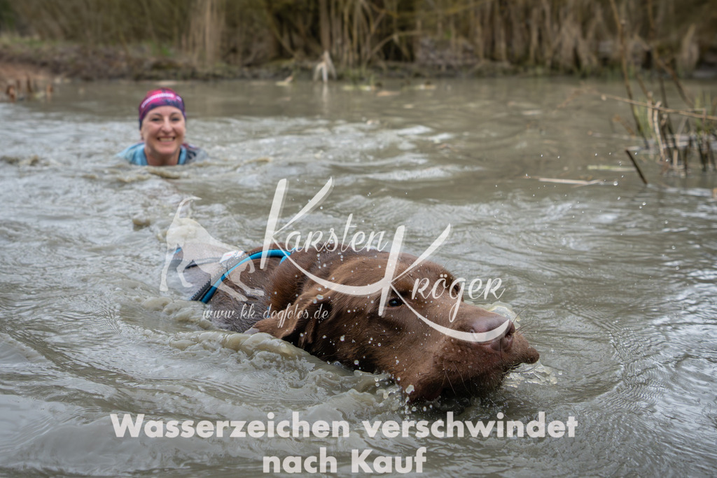 1341_ZZ91644 | kk-dogfotos