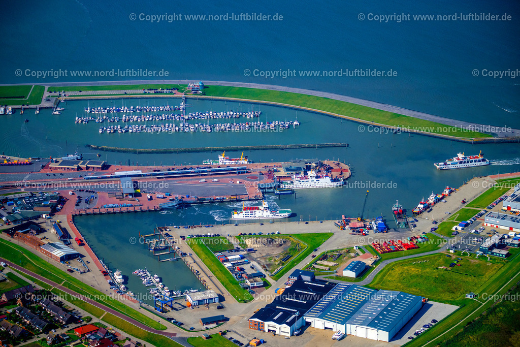 Norden_Norddeich_Hafen_Frisia_Fährschiffe_ELS_5628050924 | NORDEN 05.09.2024 Fähr- Hafenanlagen an der Meeres- Küste der Nordsee mit dem Fährschiff Frisia 4 im Ortsteil Norddeich in Norden im Bundesland Niedersachsen, Deutschland. Weiterführende Informationen bei: Reederei Norden-Frisia AG,  Yachtzentrum Störtebeker GmbH. // Ferry port facilities on the sea coast of the North Sea with the ferry Frisia 4 in the district of Norddeich in Norden in the state of Lower Saxony, Germany. Further information at: Reederei Norden-Frisia AG,  Yachtzentrum Stoertebeker GmbH. Foto: Martin Elsen