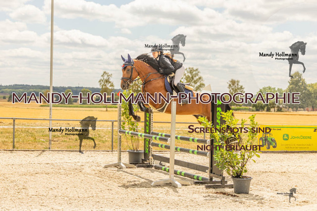 26-7-23 SPR A++-39 | mandyhollmannphotographie