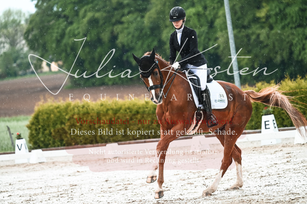DSC_4307 | Pferde- und Turnierfotografie in Westsachsen. Pferdeportraits, Auftragszeichnungen und intuitive Kunst.