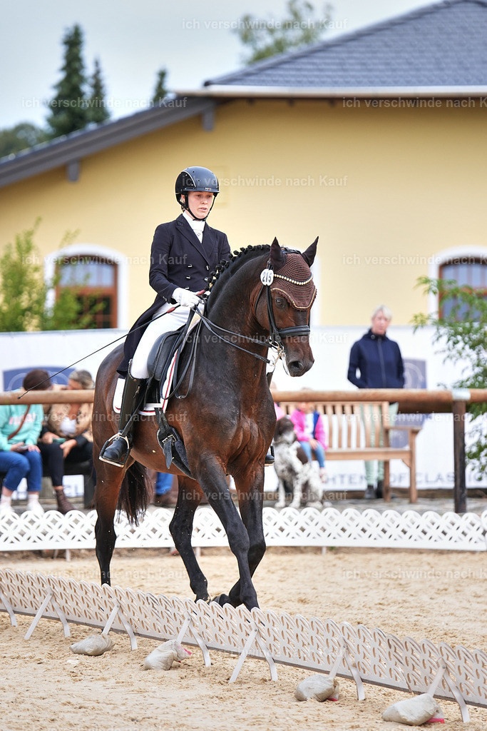 11-215-Dressur S___-Marixx-1755 | working equitationturnier fotograf videograf stoibphotography marixx film working equitation deutschland reitsport turnierfotografie eventfotografie equestrian events