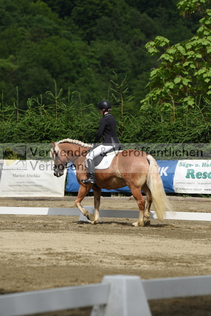 DSC_8271 | equestrian-live-com