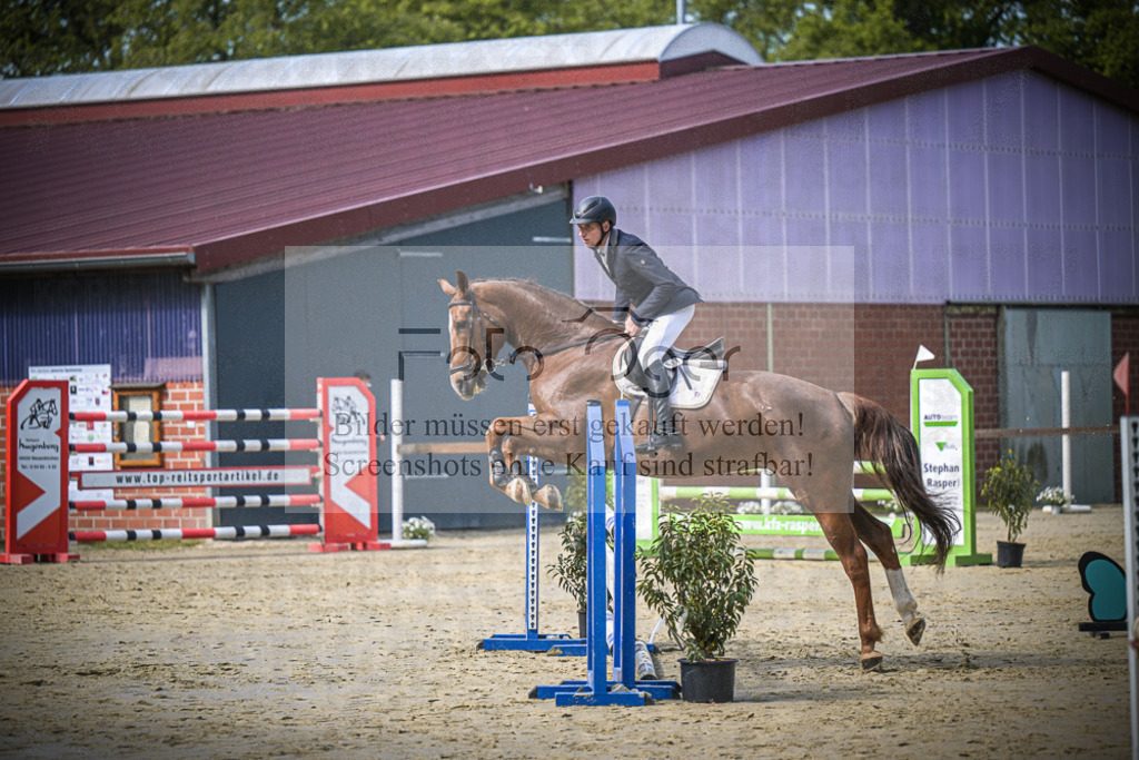 DOS_6447 | Entdecke hochwertige Reitturnierfotos von Foto Oger. Professionell, emotional und authentisch – jetzt Lieblingsmomente im Shop bestellen.Deutschlandweite Turnierfotografie. - Realisiert mit Pictrs.com