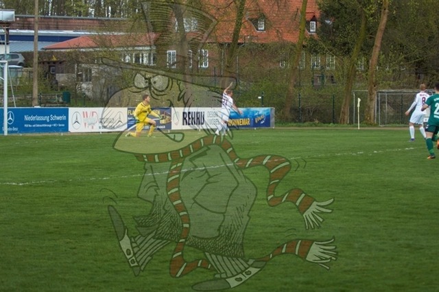 FC Schönberg 95 vs. BFC Dynamo 019 | mythos-online-redaktion