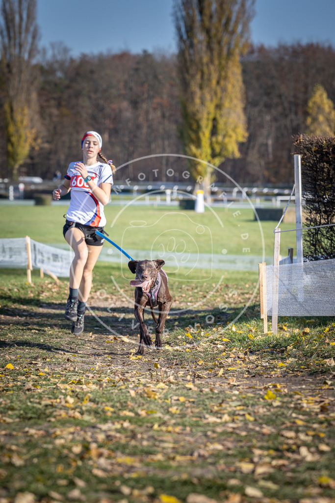 CaniXpix_DV3A9465 | Hundefotografie, Tierfotograf, Pfotenfotografie, Fotoshooting Hund, Hunde Portrait, Hundesport, Hundeportraits, Heideshooting, Hunde, Sportfotograf, Hundefotograf, Turnierhundsport, THS,  - Realisiert mit Pictrs.com