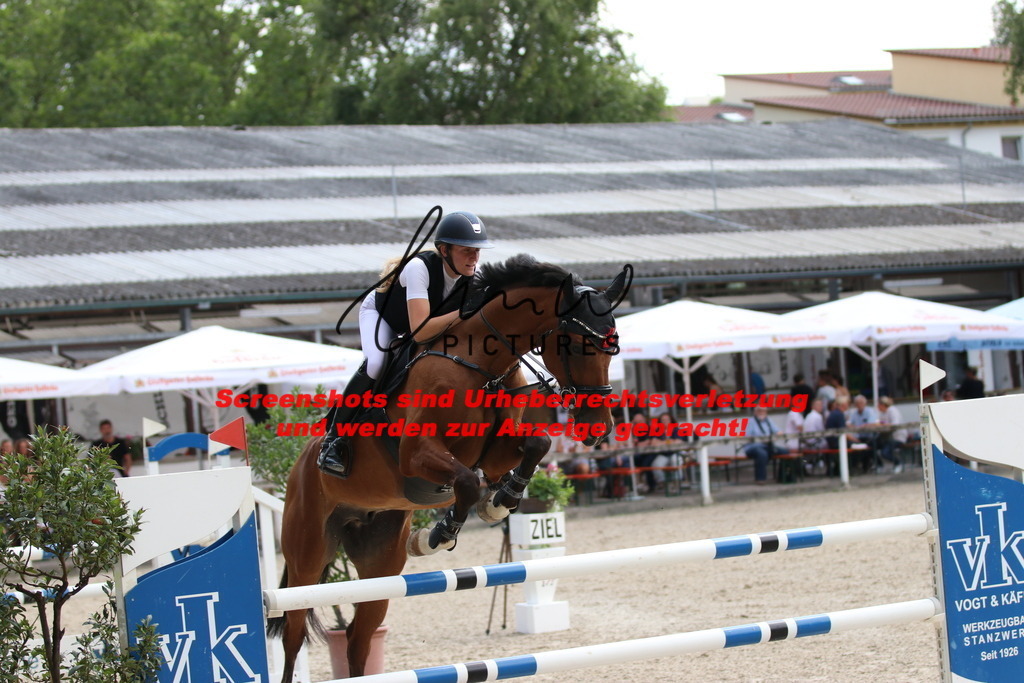 IMG_0480 | lmwpictures - Realisiert mit Pictrs.com