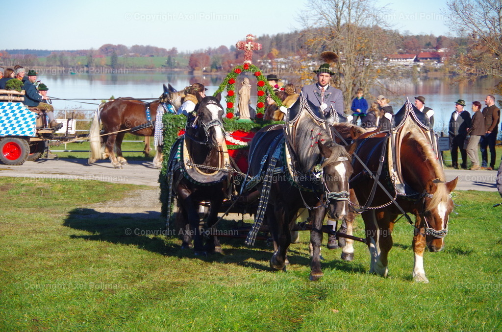 IMGP7519 | fotografiert von Axel PollmannLeonhardi Wallfahrt Benediktbeuern und Murnau, Fronleichnam, Fasching, Landschaft im Loisachtal und Benediktbeuern  - Realisiert mit Pictrs.com