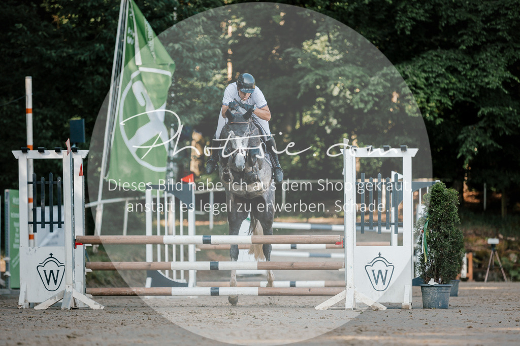 3I6A6297 | Stimmungsvolle Portraits und Reitsportfotografie im Ruhrgebiet und im Münsterland.

Pferdefotografie, Hundefotografie, Tierfotografie, Reportagen, Portraits von Tier und Mensch, Turnierfotografie in Bochum, Recklinghausen, Marl, Haltern am See, Dülmen.. - Realisiert mit Pictrs.com