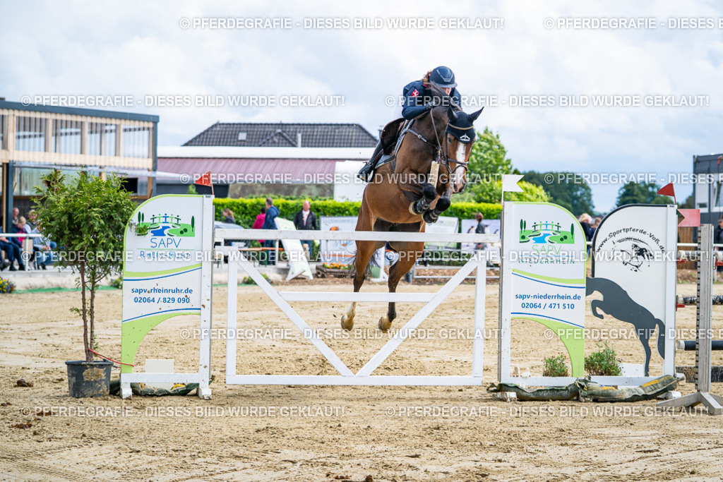 DSC05598 | Pferdegrafie