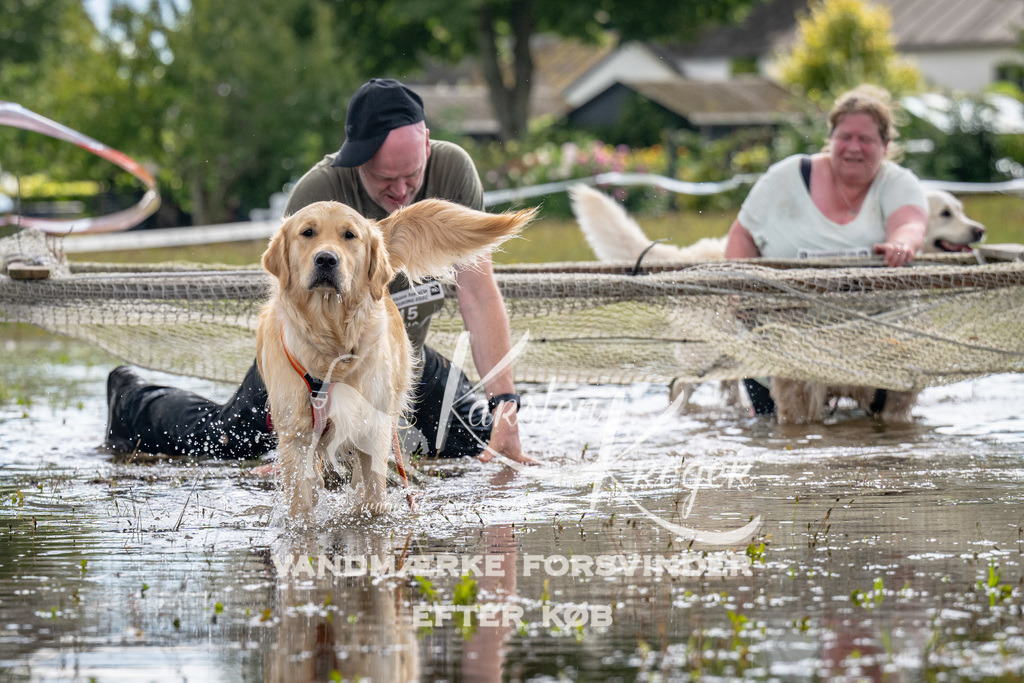 1339_ZZ90492 | kk-dogfotos