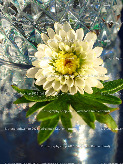 titusgraphy_PB181005-vz-ln | titusgraphy-shop: Geschenkideen mit Qualitätsfotos. titusgraphy-shop: gift ideas with quality photos. titusgraphy-shop: idées cadeaux avec photos de qualité.  - Realisiert mit Pictrs.com