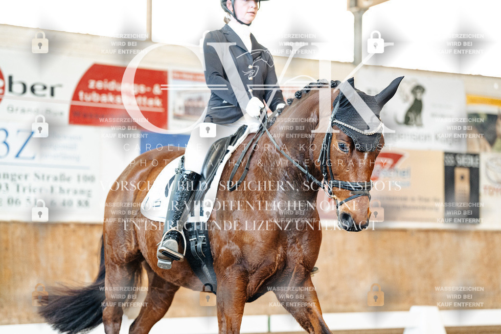 CK909322 | Turnierfotografie Pferdefotografie Trier Rheinland-Pfalz Pferdesport Reitsport Tierfotografie Sportfotografie Pferdevideo Pferdevideografie Equestrianvideography equestrianphotography  - Realisiert mit Pictrs.com