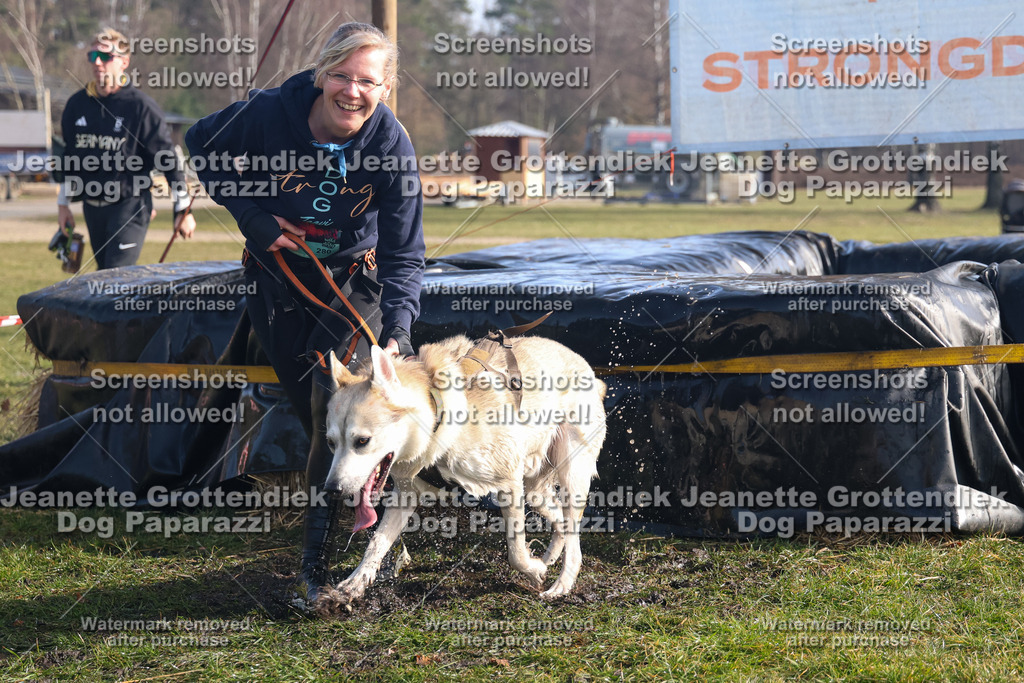 Dog Paparazzi - Strongdog North Mrz26-1093 | Dog Paparazzi Jeanette Grottendiek Fotografie & Videografie - Realisiert mit Pictrs.com