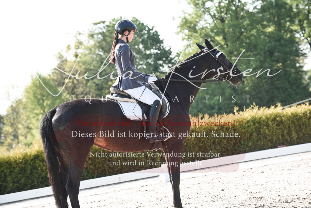 20230518_JK-Röhrsdorf-09-0783 | Pferde- und Turnierfotografie in Westsachsen. Pferdeportraits, Auftragszeichnungen und intuitive Kunst.