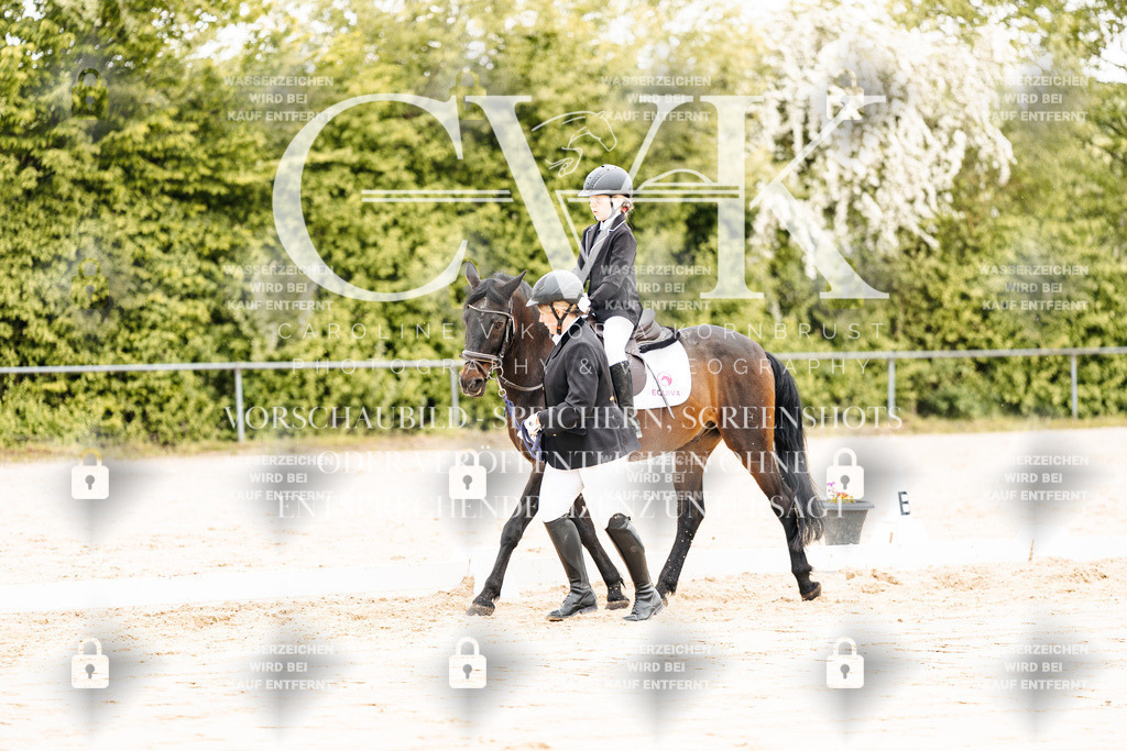 CK903654 | Turnierfotografie Pferdefotografie Trier Rheinland-Pfalz Pferdesport Reitsport Tierfotografie Sportfotografie Pferdevideo Pferdevideografie Equestrianvideography equestrianphotography  - Realisiert mit Pictrs.com
