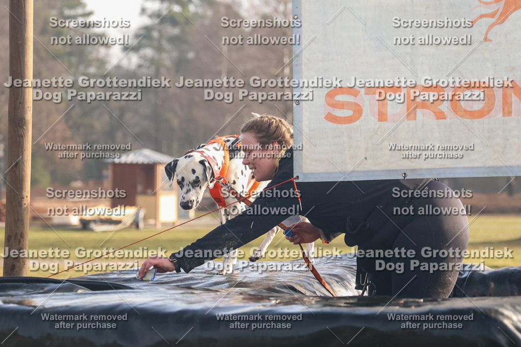 Dog Paparazzi - SD North 0326 900930-247 | Dog Paparazzi Jeanette Grottendiek Fotografie & Videografie - Realisiert mit Pictrs.com