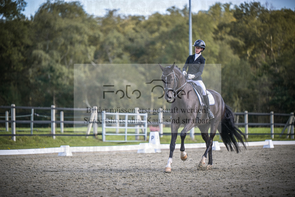 DOS_4398 | Entdecke hochwertige Reitturnierfotos von Foto Oger. Professionell, emotional und authentisch – jetzt Lieblingsmomente im Shop bestellen.Deutschlandweite Turnierfotografie. - Realisiert mit Pictrs.com