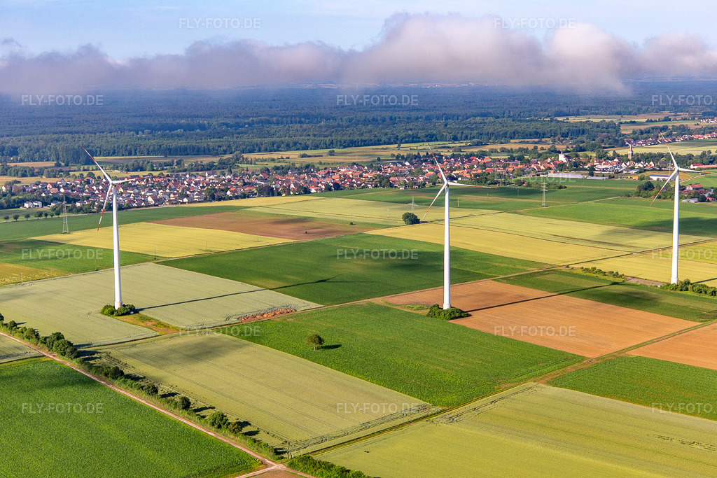 Luftbild: Windpark Minfeld bei tiefen Wolken in Minfeld im Bundesland Rheinland-Pfalz in Deutschland. Foto: IMG_141864.jpg vom 18.06.2024 durch Werner Riehm/FLY-FOTO.de