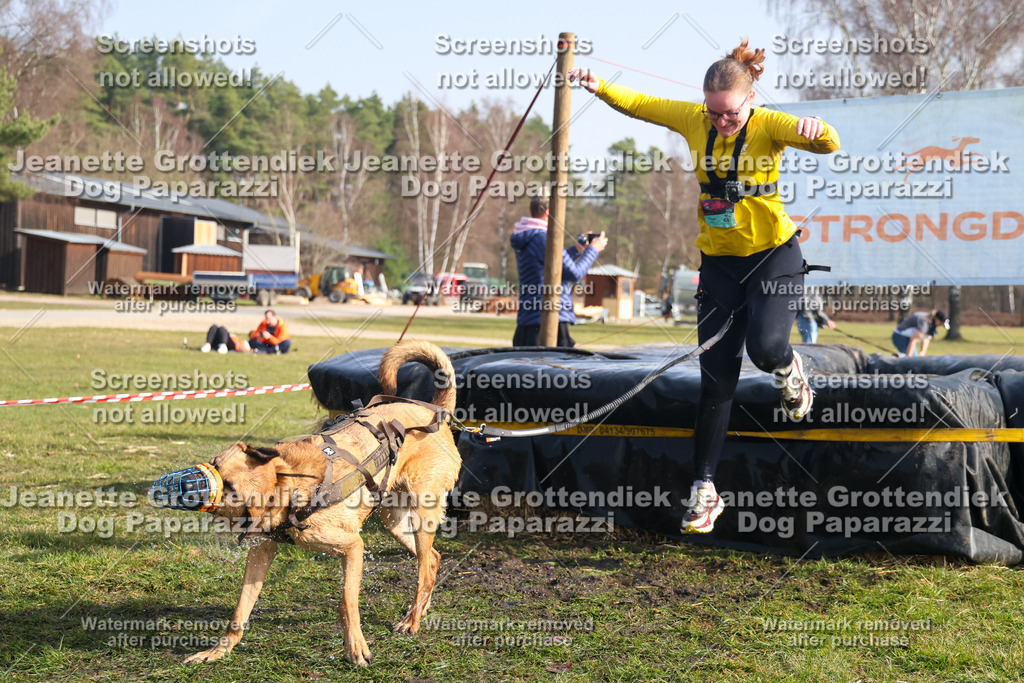 Dog Paparazzi - Strongdog North Mrz26-1542 | Dog Paparazzi Jeanette Grottendiek Fotografie & Videografie - Realisiert mit Pictrs.com