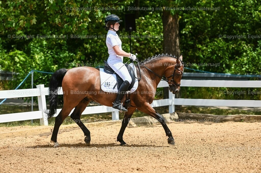 20230715_05_Dressurprüfung Kl.A++_0020 | equistock
