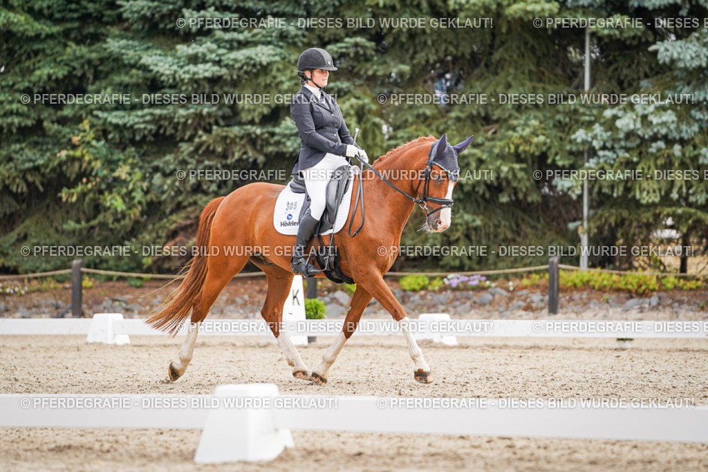 DSC01785 | Pferdegrafie