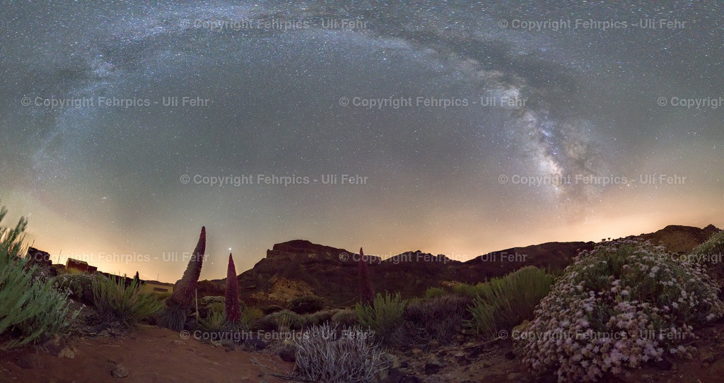 Tajinaste under the milky way - Tenerife | Fehrpics - hochwertige Fotoprodukte rund um Landschaft, Natur, Sterne & Milchstraße. - Realisiert mit Pictrs.com