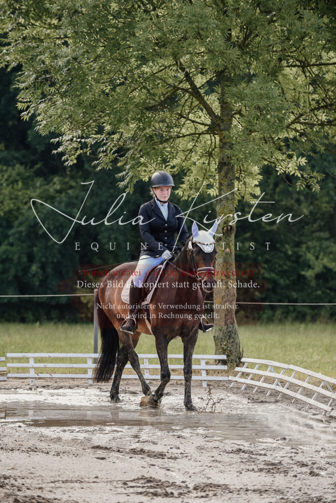 DSC_8117 | Pferde- und Turnierfotografie in Westsachsen. Pferdeportraits, Auftragszeichnungen und intuitive Kunst.