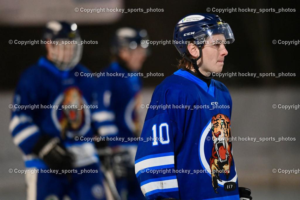 EC Tigers Paternion vs. EC Feld am See Ledenitzen | #10 Ortner Philipp EC Tigers Paternion, EC Tigers Paternion vs. EC Feld am See Ledenitzen, EC Tigers Paternion vs. EC Feld am See Ledenitzen am 19.01.2025 in Villach (Eisplatz Paternion), Austria, (Photo by Bernd Stefan)