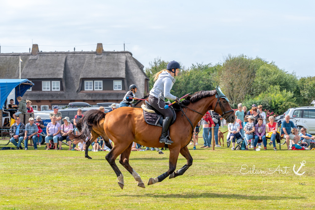 EAF_7477 | Eilun-Art-Fotografie Levke Martens, ihre Fotografin für Immobilien- und Landschaftsfotografie auf Föhr, Föhrer Motive als Poster, Leinwand, hinter Acrylglas oder stelle dir deinen eigenen Monatskalender zusammen, mit nur einem Klick