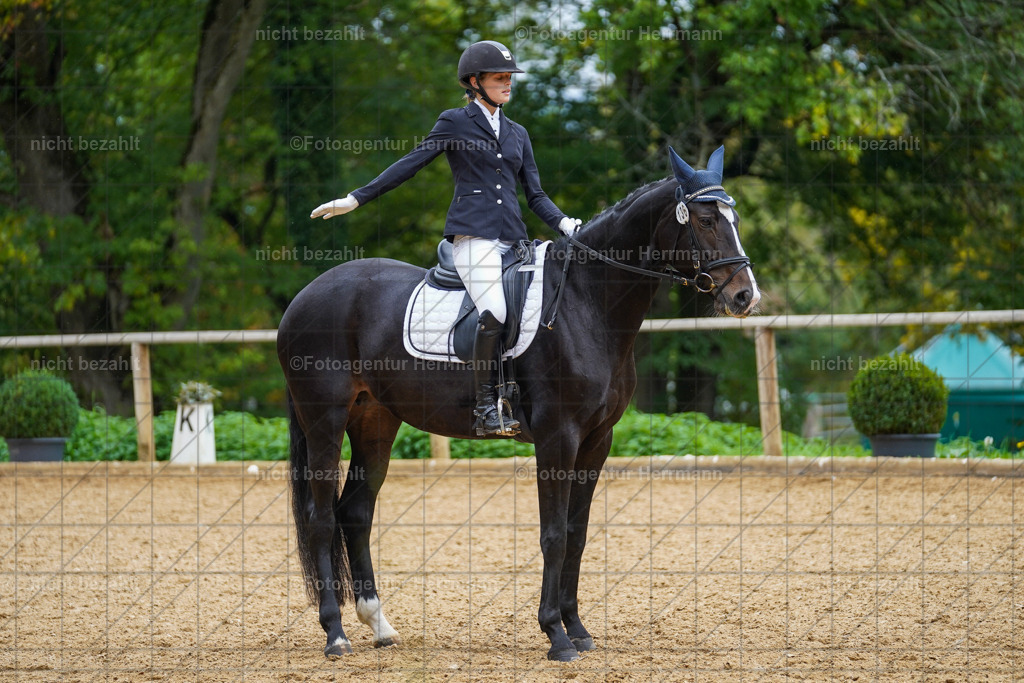 20221008-FAH01948 | Diessen am Ammersee, 2022, Dressur- und Springturnier, Reitsportbilder, Turnierfotografen Bayern, Pferdefotografen, Fotoagentur Herrmann, Turnierbilder