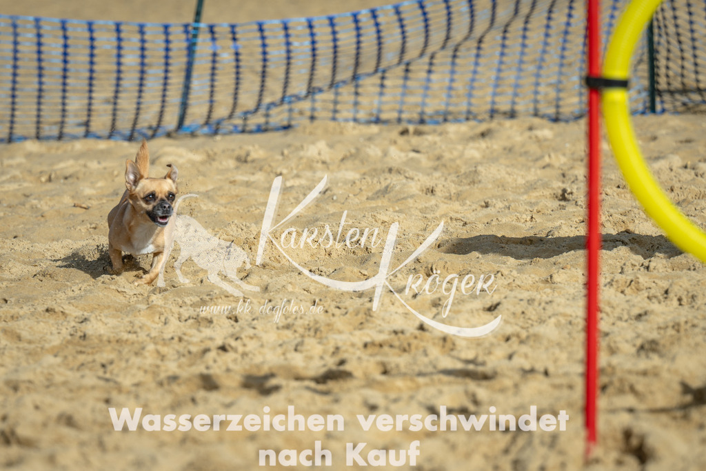 1103_ZZ90175 | kk-dogfotos