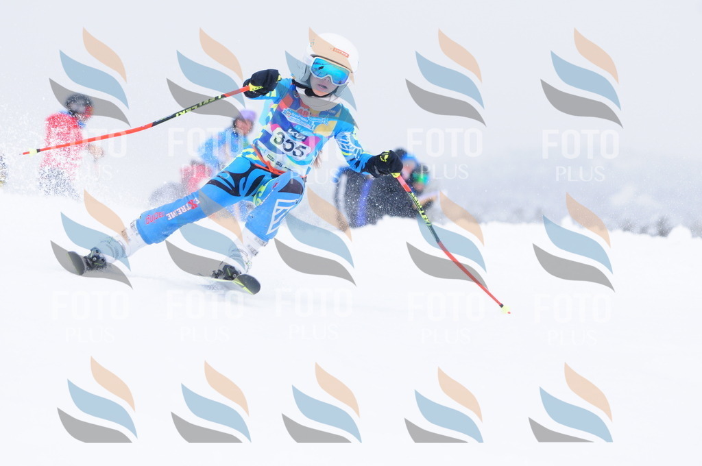 C3793 | holidayphoto