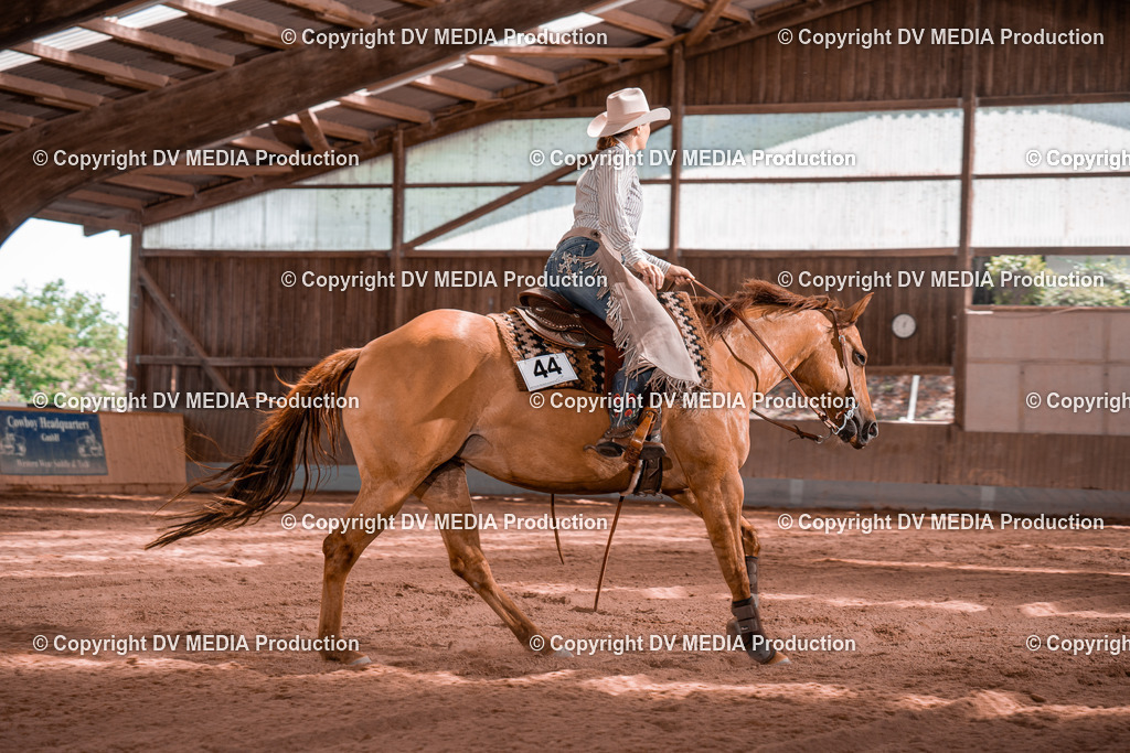 NE100772 | dv-media-shop - Realisiert mit Pictrs.com