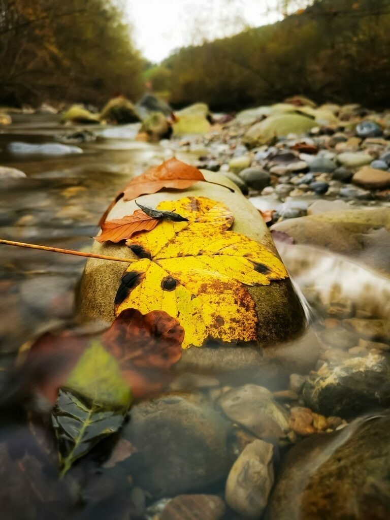 PSX_20221028_230205 | mtkfoto_ - Realisiert mit Pictrs.com