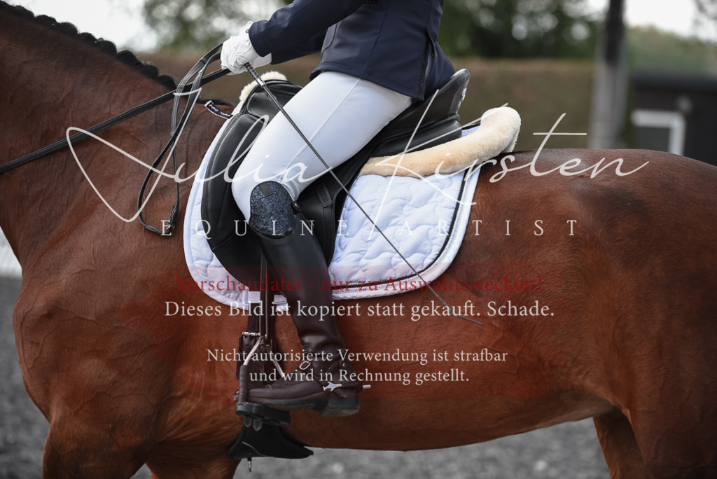20230513_JK-Röhrsdorf-14-643 | Pferde- und Turnierfotografie in Westsachsen. Pferdeportraits, Auftragszeichnungen und intuitive Kunst.