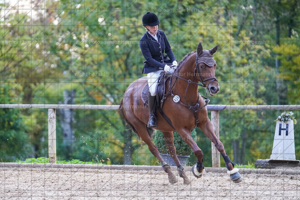 20221009-FAH08247 | Diessen am Ammersee, 2022, Dressur- und Springturnier, Reitsportbilder, Turnierfotografen Bayern, Pferdefotografen, Fotoagentur Herrmann, Turnierbilder