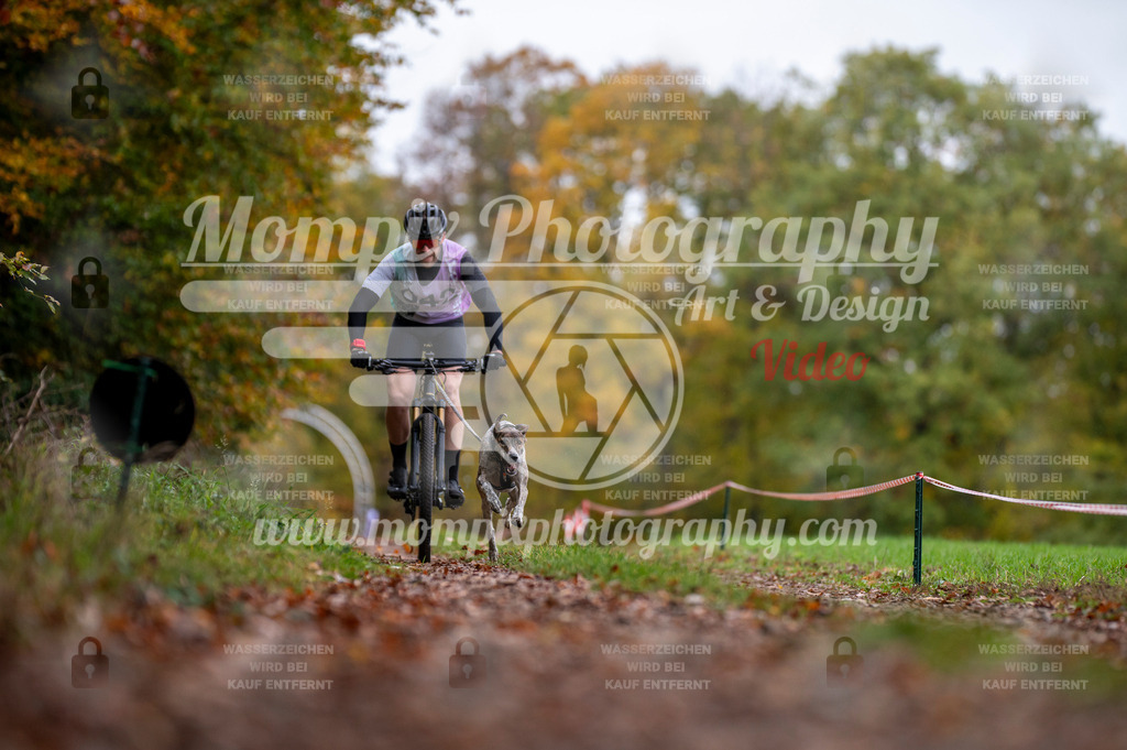 DBT_DAKM_SA_4_11_2023_Bike-3 | PayLife