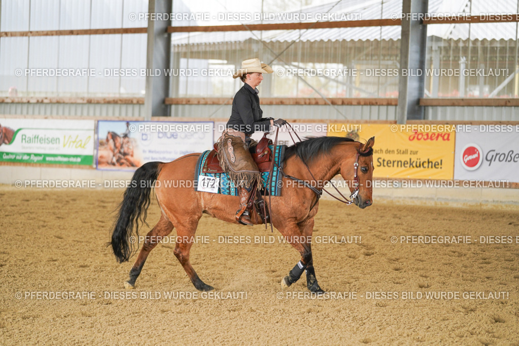 DSC03023 | Pferdegrafie