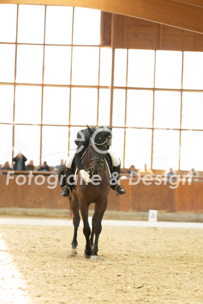 IMG_6040 | Creatify Fotografie