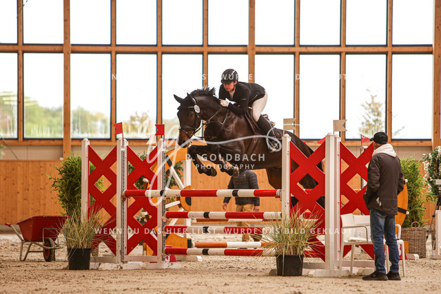 1J2A2830Lisa Charlotte Padberg_ Vinnie Pooh_ Kn488_ Hohen Wieschendorf_ Glantz | Foto- und Videografie für alles rund ums Pferd. Hochwertige Bilder und Videos vom Spring- und Dressurreiten, Voltigieren & mehr. Jetzt aktuelle Veranstaltungen und Preise im Shop ansehen. - Realisiert mit Pictrs.com