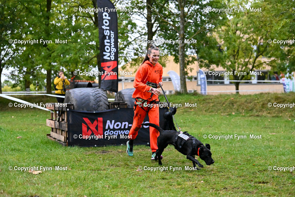 DSC_2645 | Hallo und herzlich Willkommen auf meiner Shop-Seite Fynn Most.

Ich wünsche Dir viel Spaß beim stöbern durch die Bilder, wenn Du Fragen hast oder Bilder vermisst, kannst du mir gerne eine Nachricht schreiben. - Realisiert mit Pictrs.com