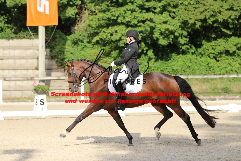 IMG_6152 | lmwpictures - Realisiert mit Pictrs.com