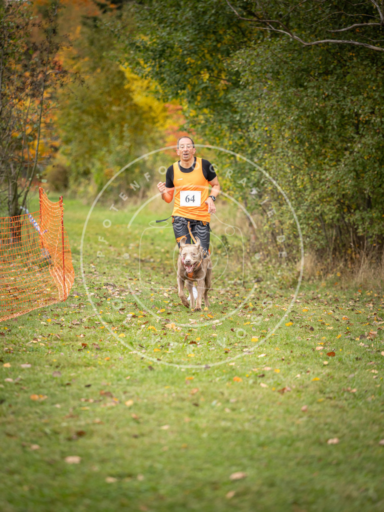 Pfotenfotografie_DV3A2726 | Hundefotografie, Tierfotograf, Pfotenfotografie, Fotoshooting Hund, Hunde Portrait, Hundesport, Hundeportraits, Heideshooting, Hunde, Sportfotograf, Hundefotograf, Turnierhundsport, THS,  - Realisiert mit Pictrs.com